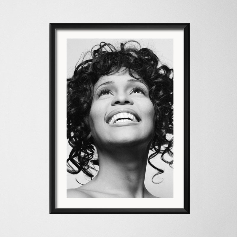 Poster ve baskılar Whitney Hou - Home Decor Houston incelemesi ve fiyatı