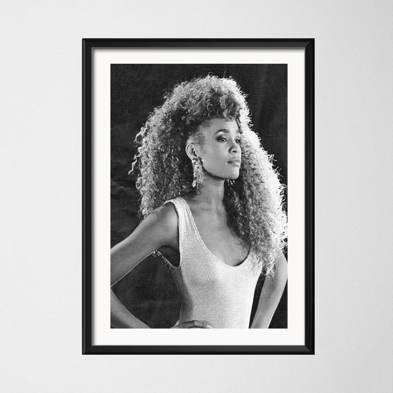 Poster ve baskılar Whitney Hou - Home Decor Houston incelemesi ve fiyatı
