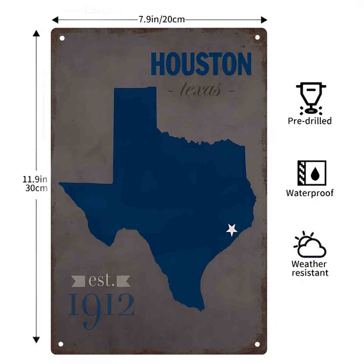 2D DÜZ 1 adet Houston Texas Ma - Home Decor Houston incelemesi ve fiyatı